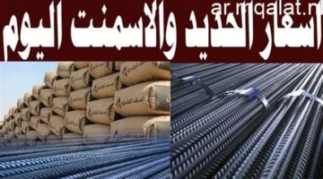 انخفاض عالمي.. تحديث أسعار الحديد في الأسواق المصرية خلال تعاملات الثلاثاء الأخيرة